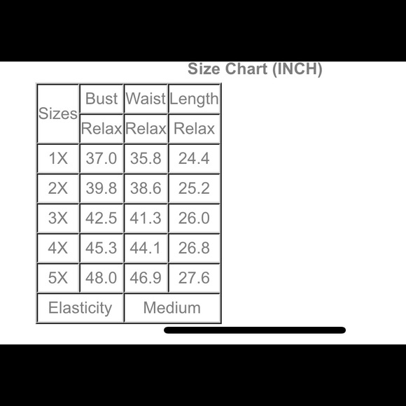 Burgundy Chemise - Picture 7 of 8